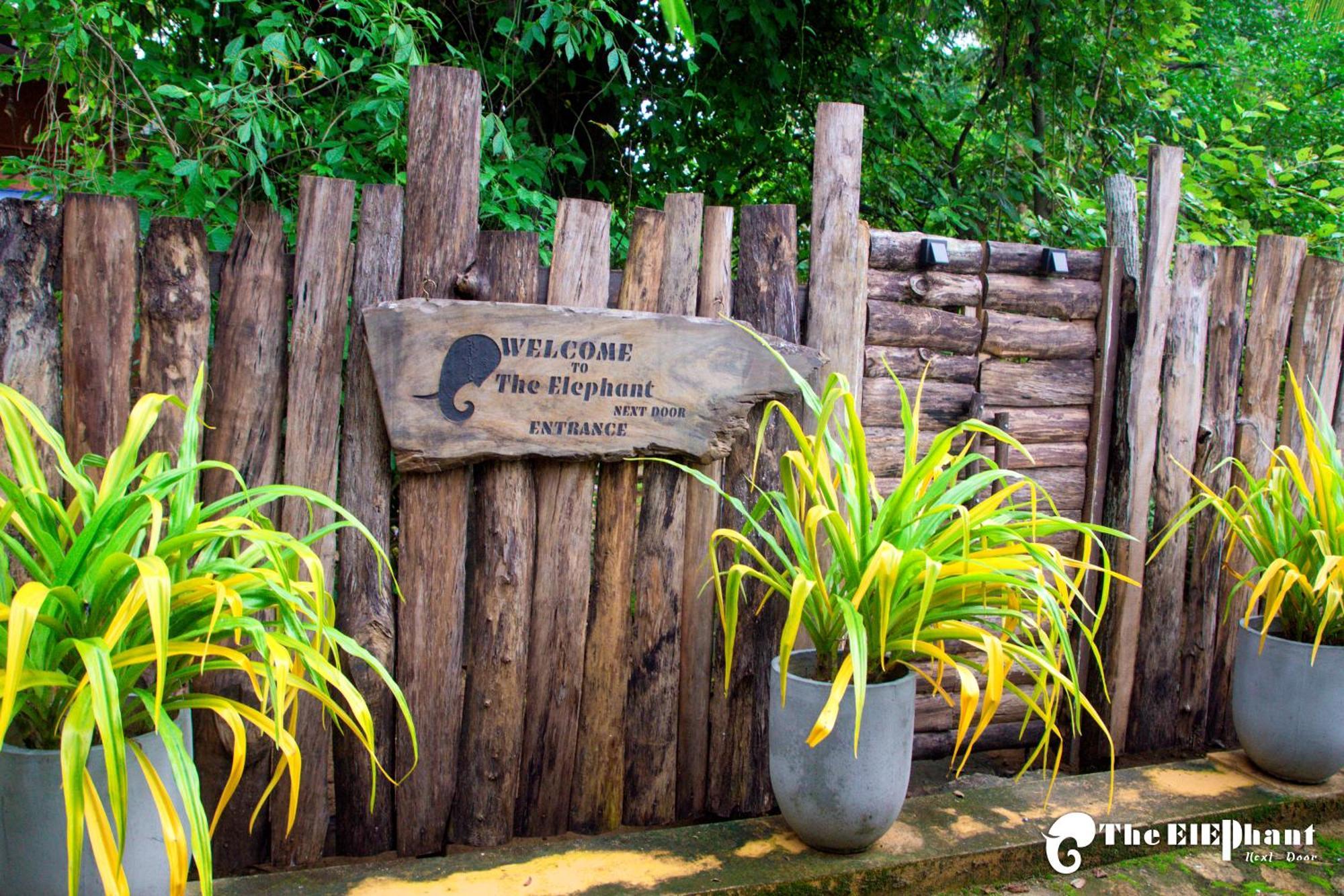 The Elephant Next-Door Udawalawe Luaran gambar