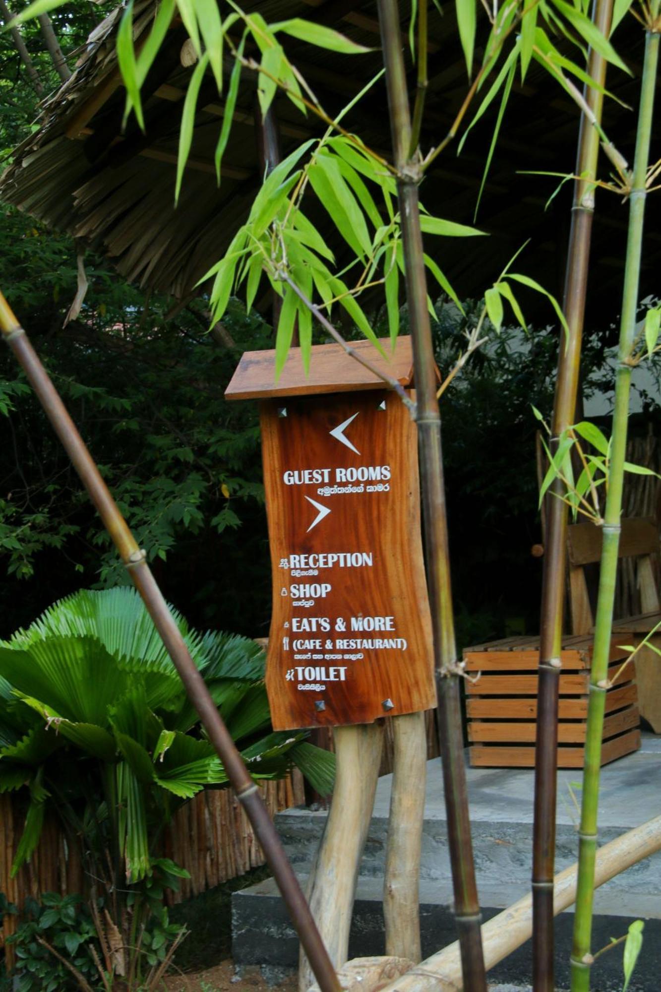 The Elephant Next-Door Udawalawe Luaran gambar