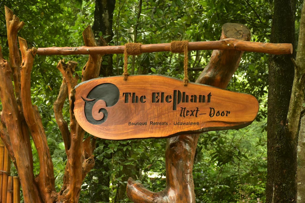 The Elephant Next-Door Udawalawe Luaran gambar