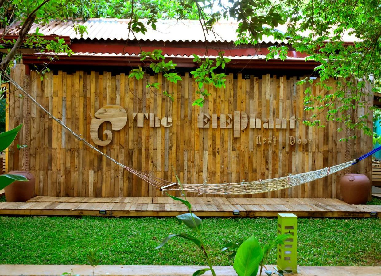 The Elephant Next-Door Udawalawe Luaran gambar